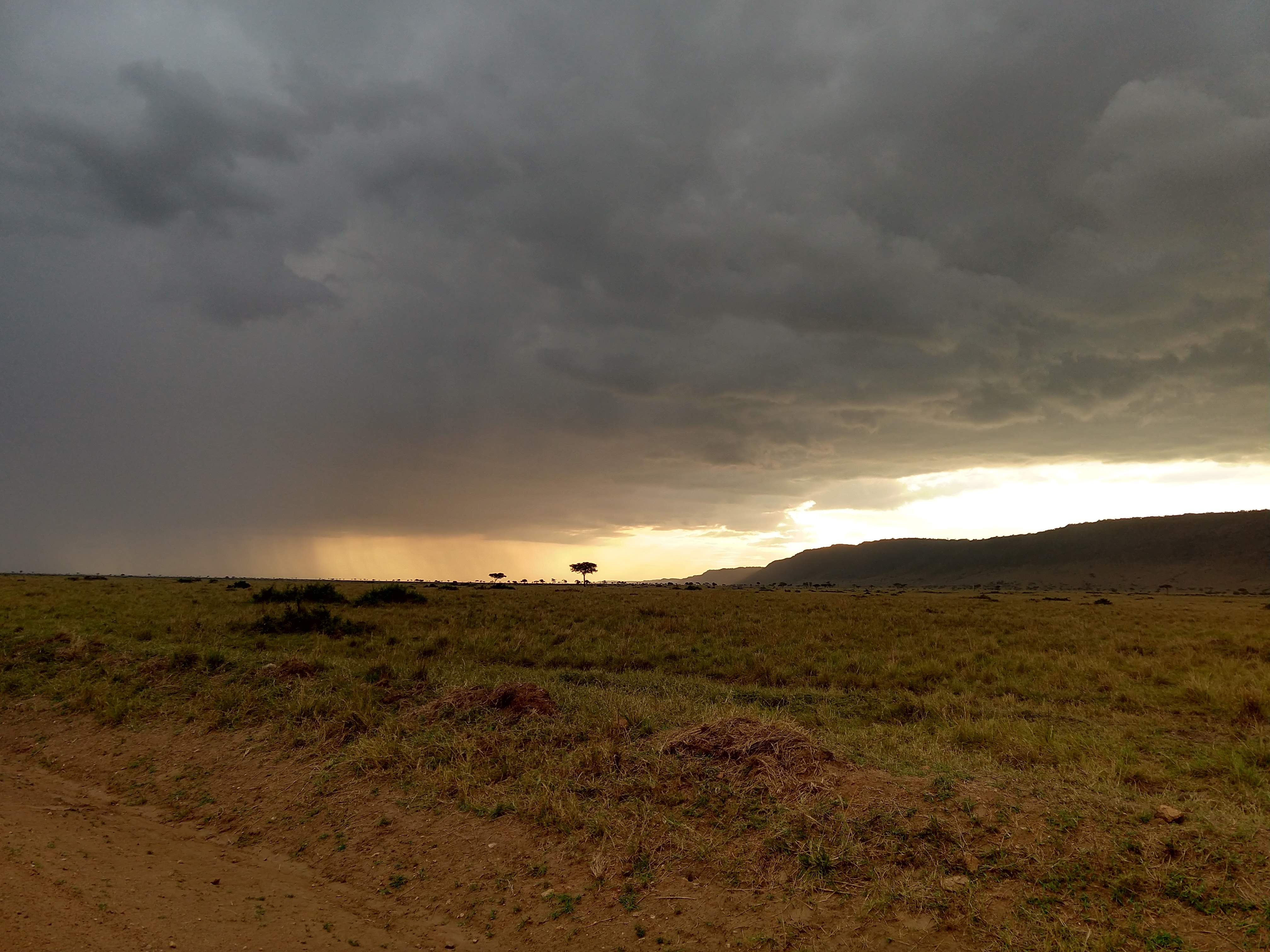 Rainfall over the grasslands of Kenya